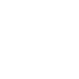 الرئيسية الرئيسية